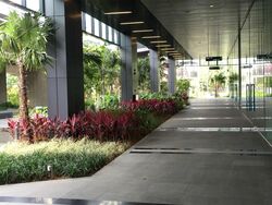 Vision Exchange (D22), Office #597568571